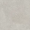 Désactivé gris